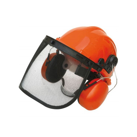 Casque forestier complet