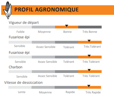 profil_agronomique_mais_asteroid