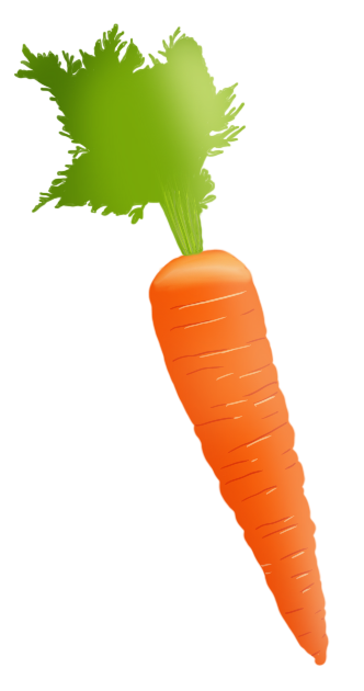 houe de maraîcher pour cultiver les carottes