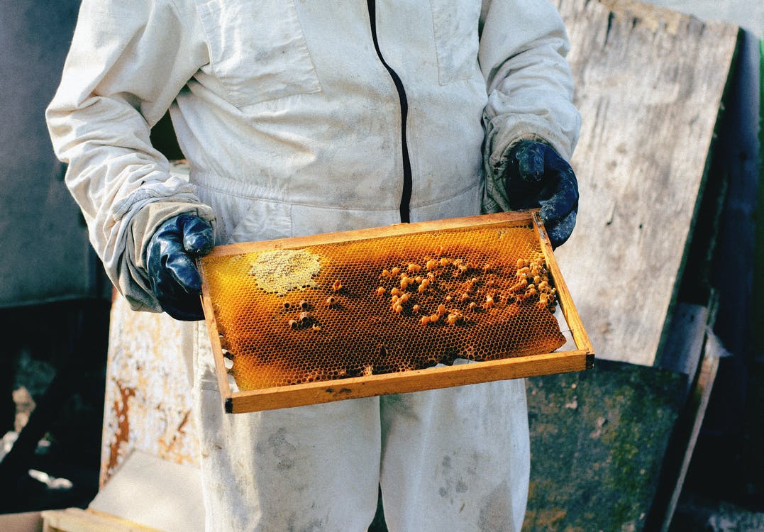 vêtement apiculture
